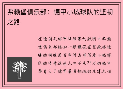 弗赖堡俱乐部：德甲小城球队的坚韧之路